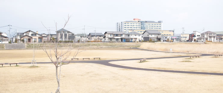 広々とした近くの公園