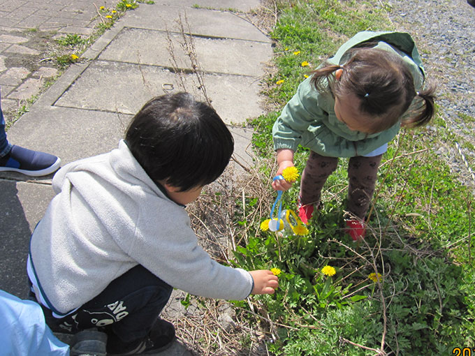 活動写真201905