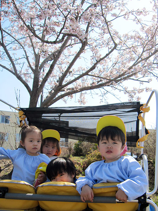 活動写真201905