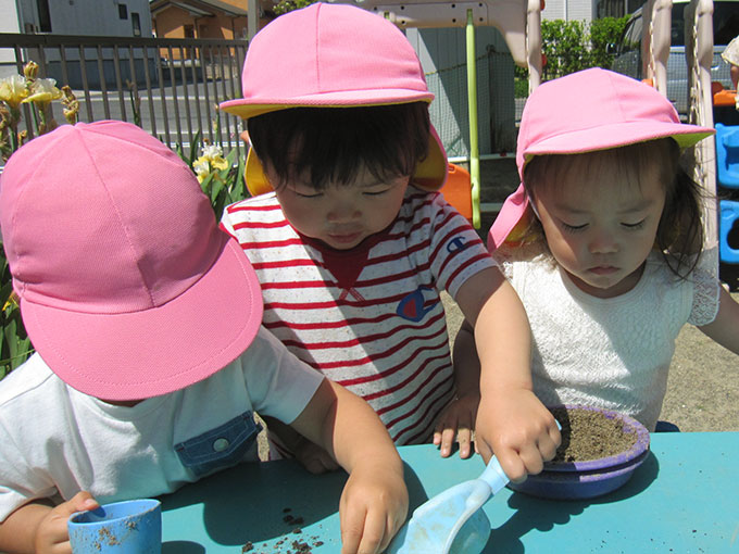 活動写真201906