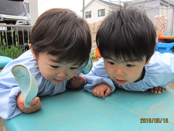 活動写真201906
