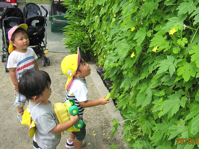 活動写真201908