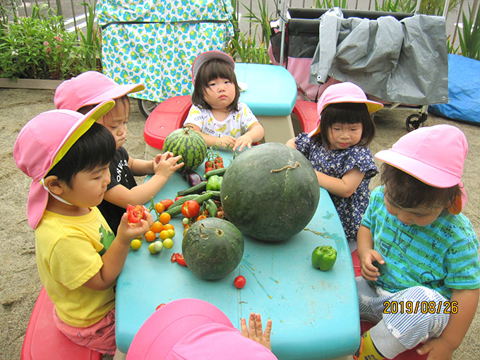 活動写真201908