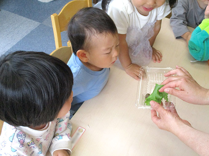 活動写真202206-2