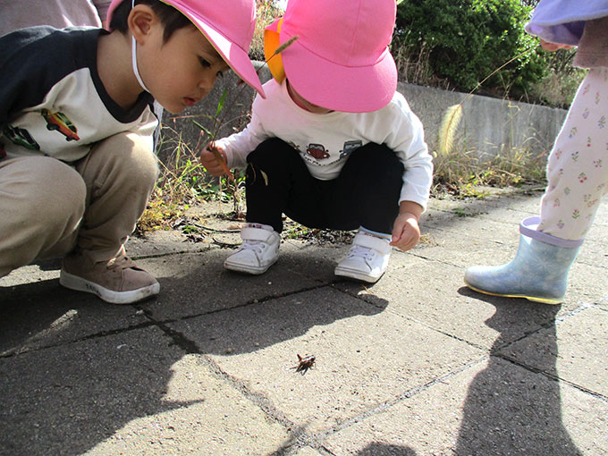 活動写真202210-2