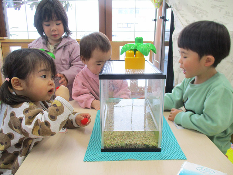 活動写真202302-17